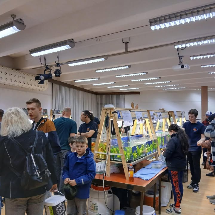 Aquarienfreunde Tirol