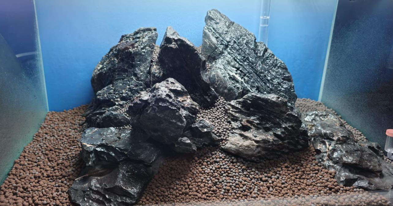 Aquarienfreunde Tirol
